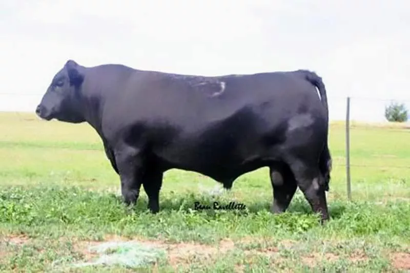 327173226_641984847731982_6983802738902832268_n