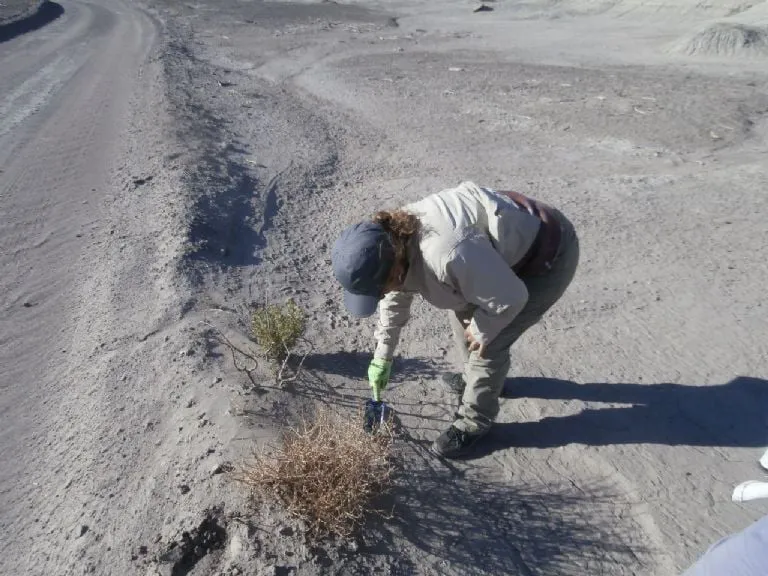 f768x1-345616_345743_5050