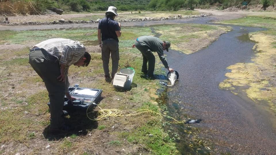 131448653_3668396753203503_3693718980217005151_n