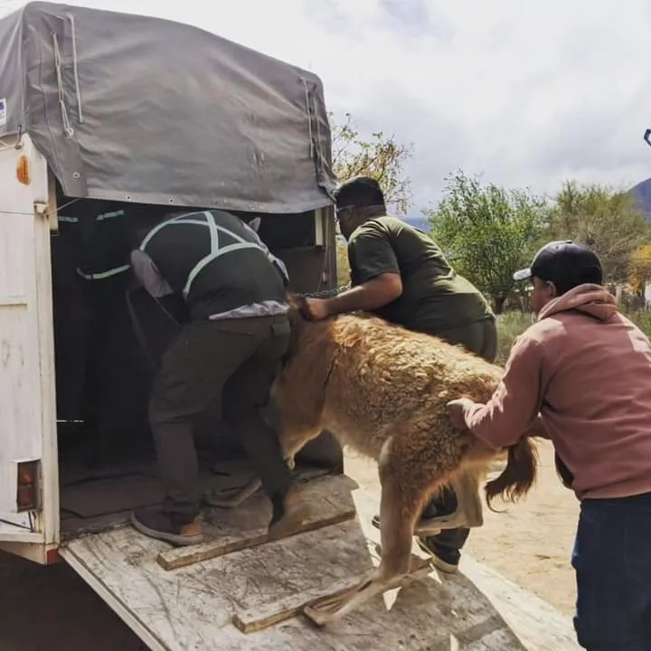 376763290_704081878433659_3238679001341781389_n