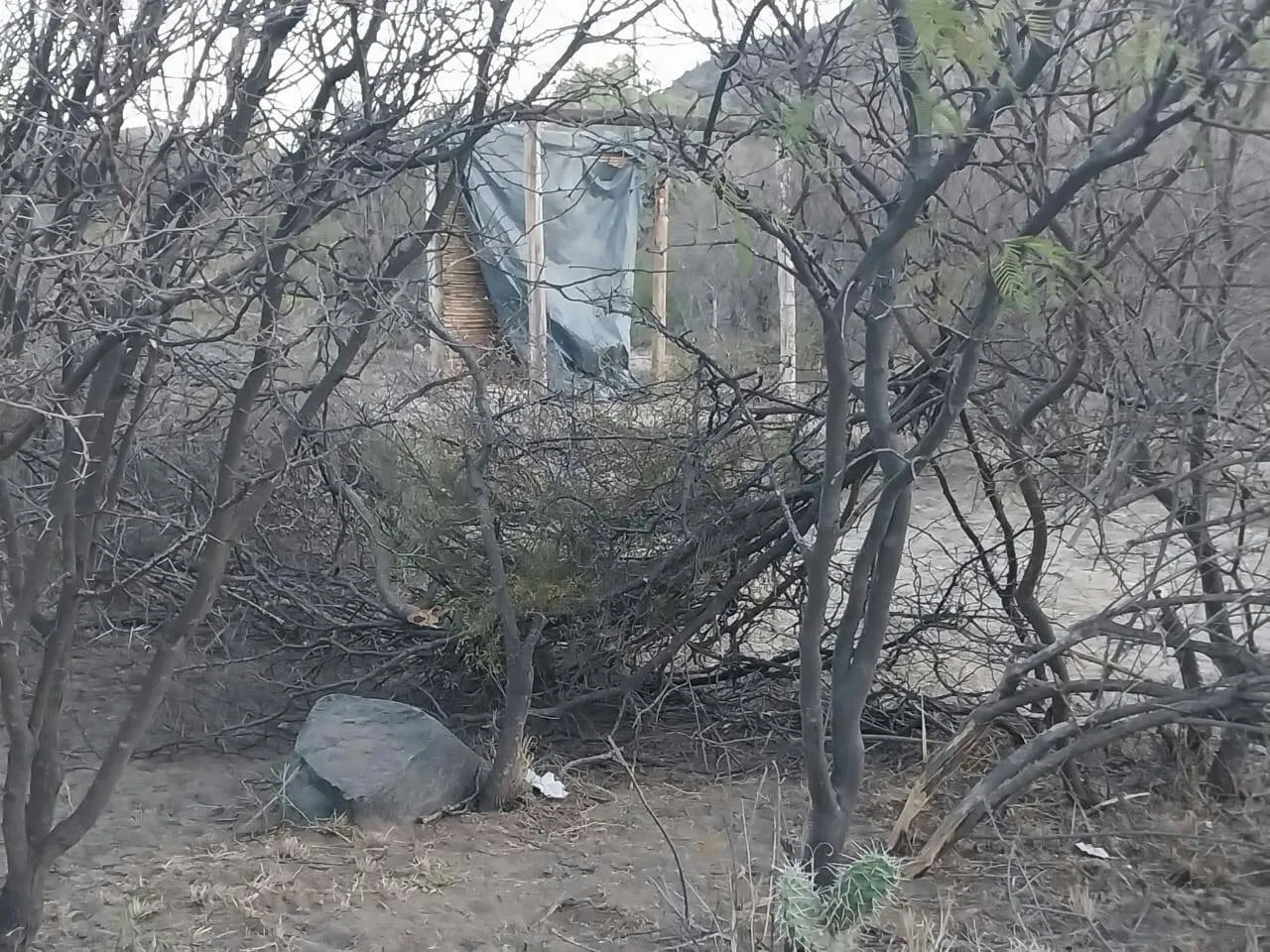 384552354_122099091662061300_6780357789430033420_n