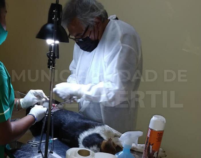 276127088_342965074525122_5373852364391557992_n