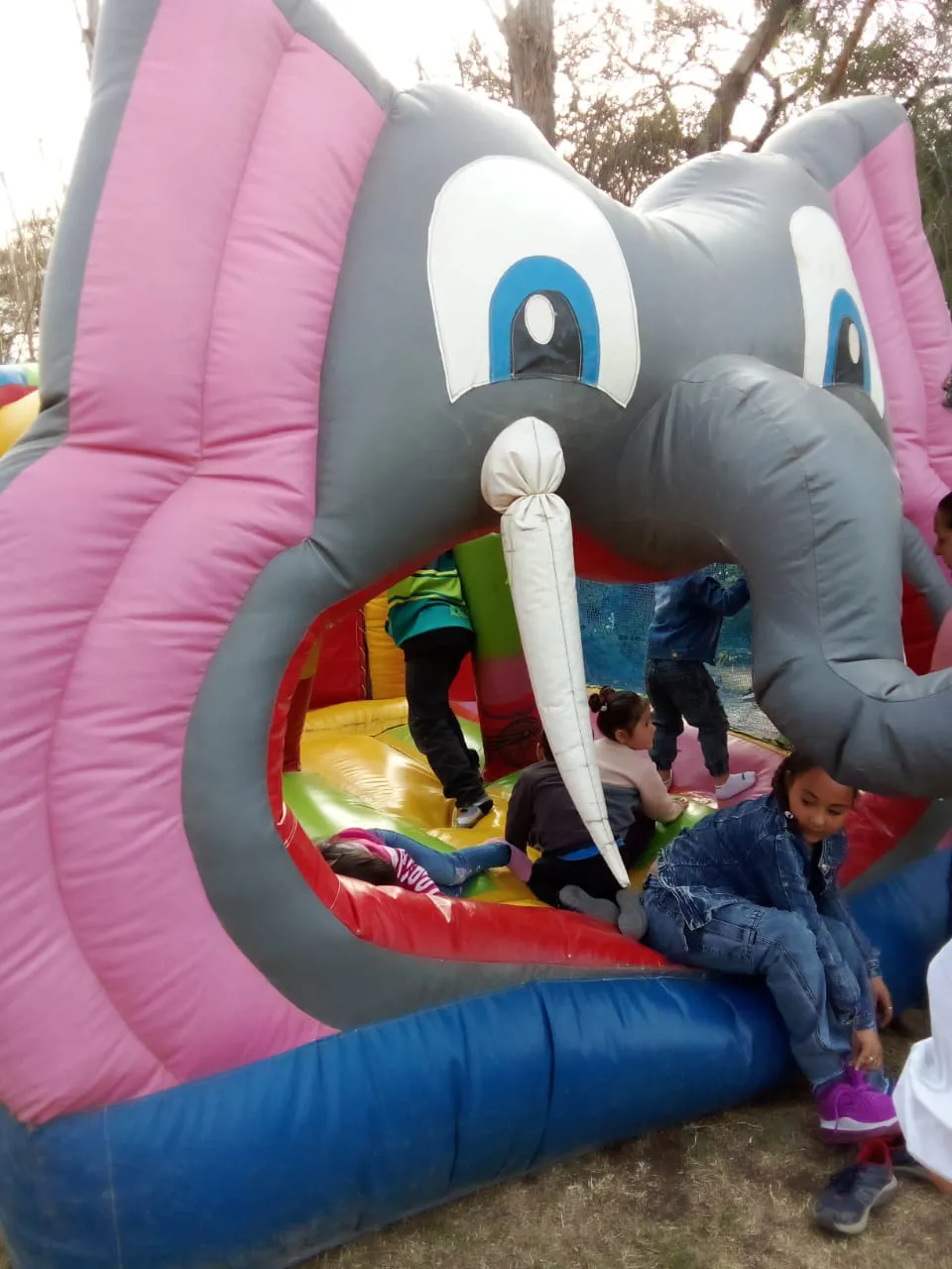 fbc77bce-5f7e-404d-86f7-ba774a03ce99