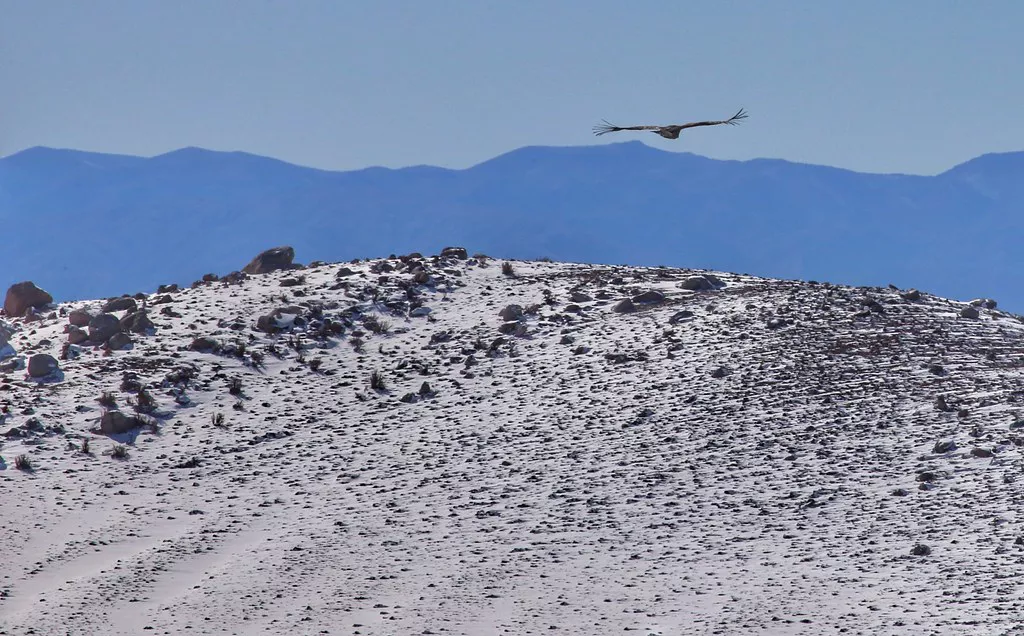 52232308478_c92e174204_b