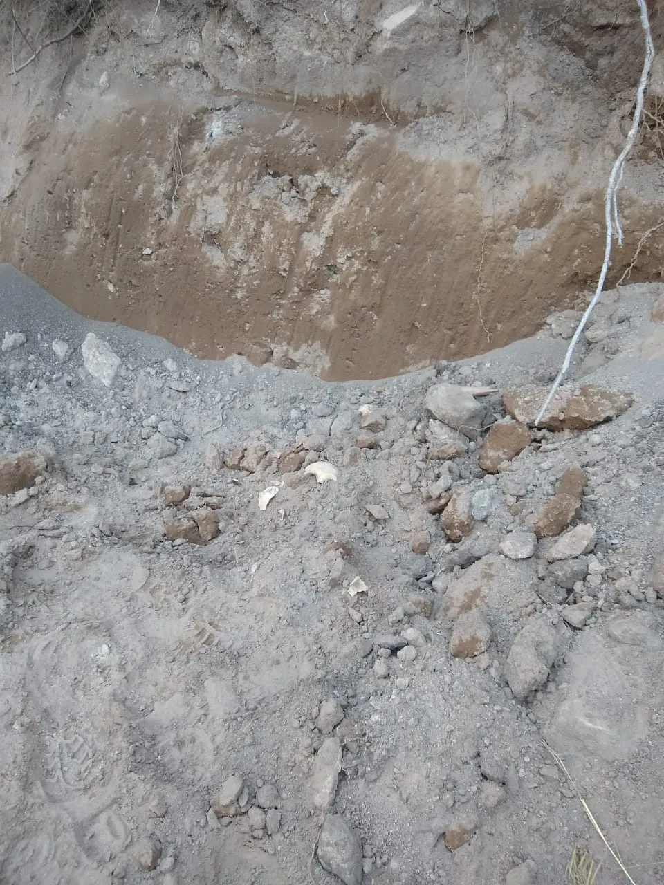 whatsapp_image_2022-11-02_at_21_57_43