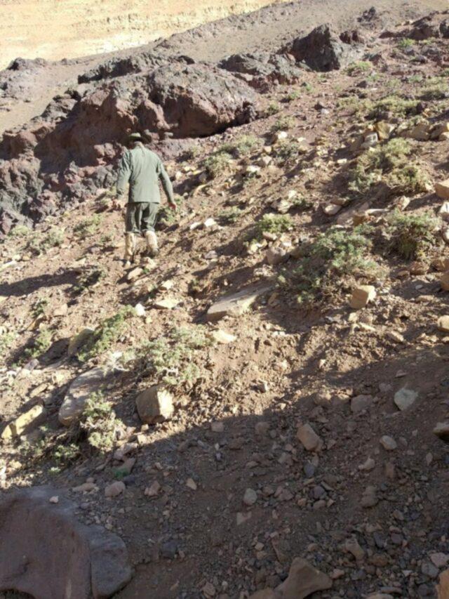 San-Juan-plantas-marihuana-cordillera-15-640x853