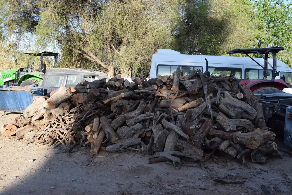 308341395_464761889012106_8708108696395275033_n