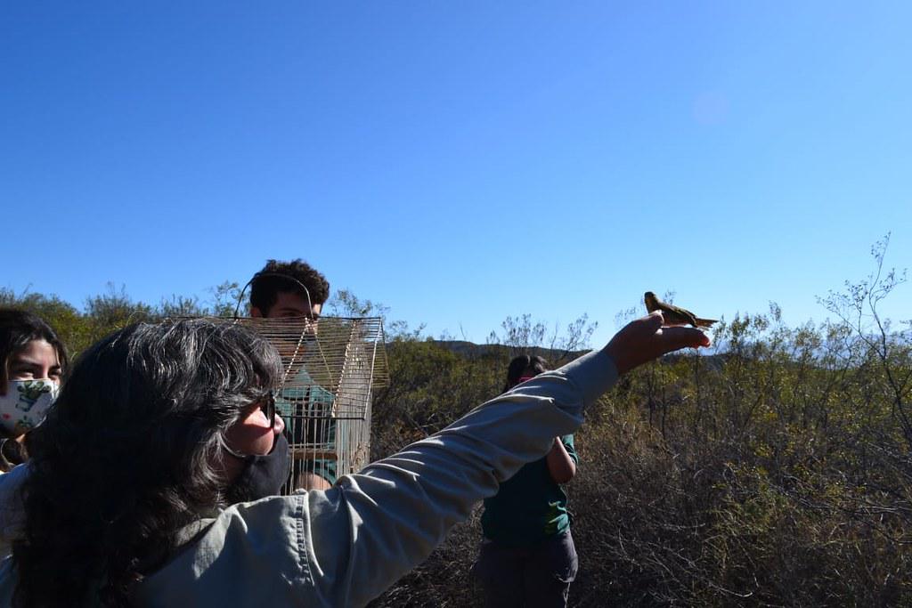 51556027080_de01cd1188_b