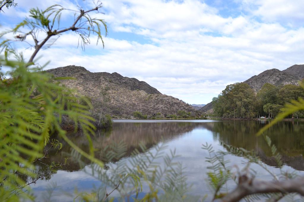 51652606223_93888123bf_b