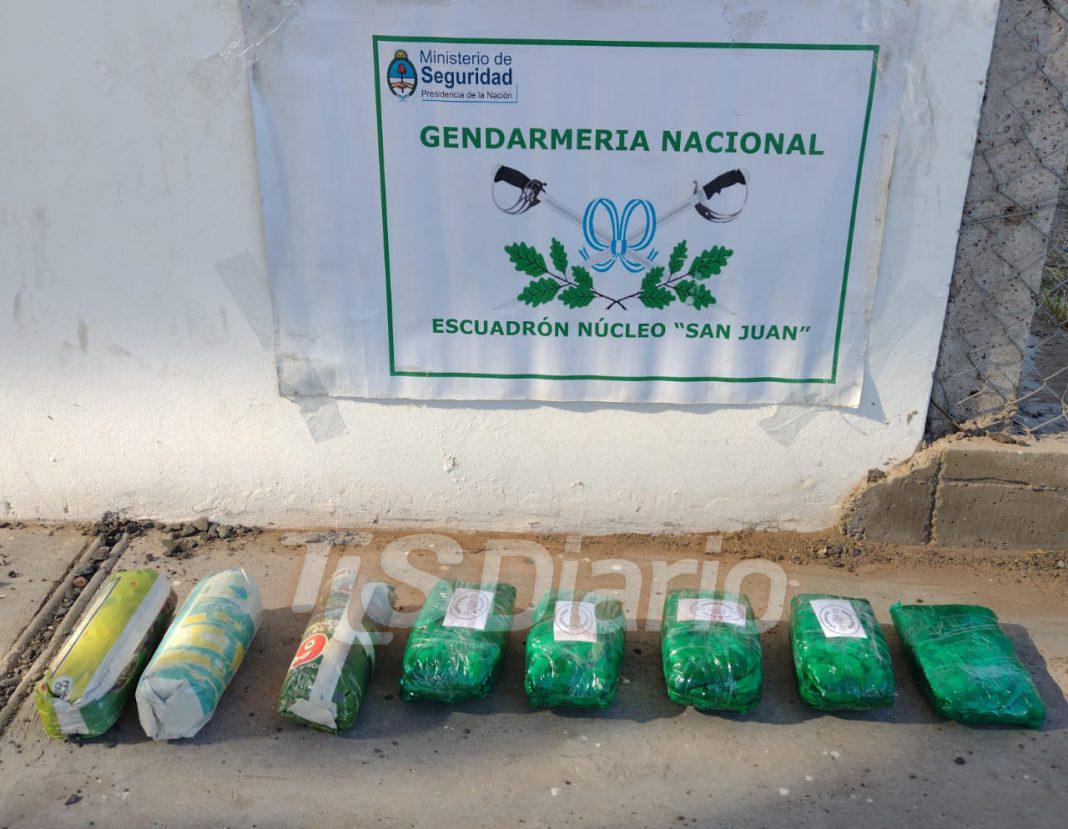 Hojas-de-coca1-1068x829