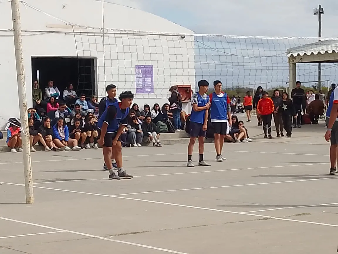 bd8a1cc3-372f-4fa2-9ee2-12c98a4b365d