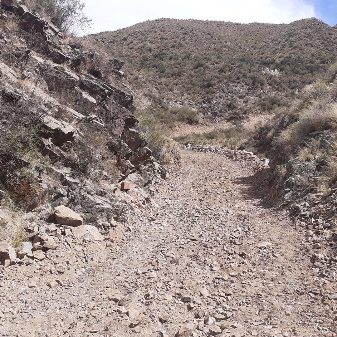 241707510_10158375924371198_1262451722760827414_n