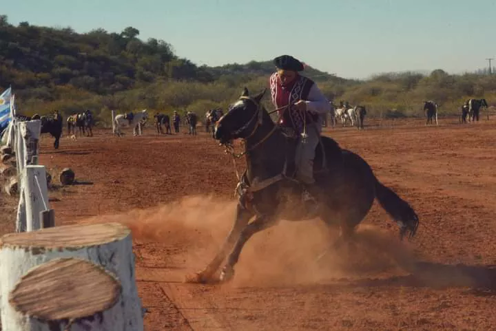 FB_IMG_1657410784755