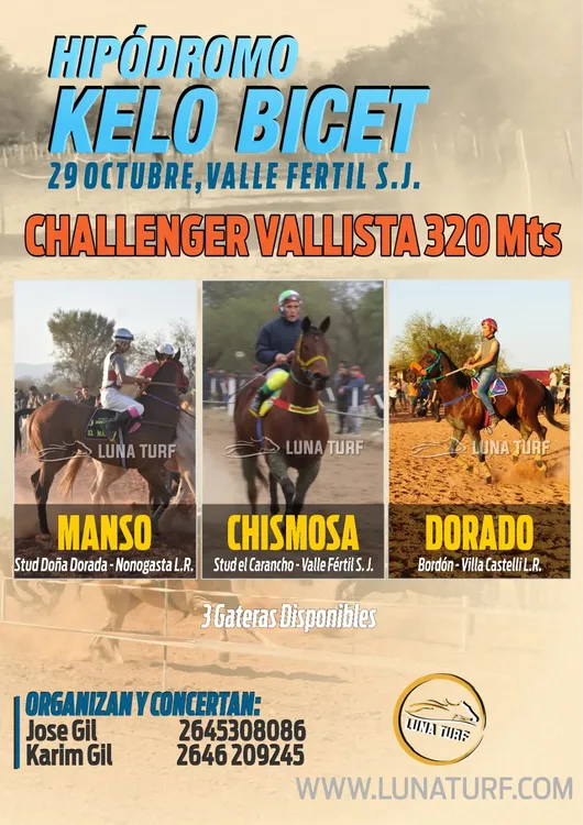 b5686a84-e3ac-4ed8-b7fc-462dfd0bd26d