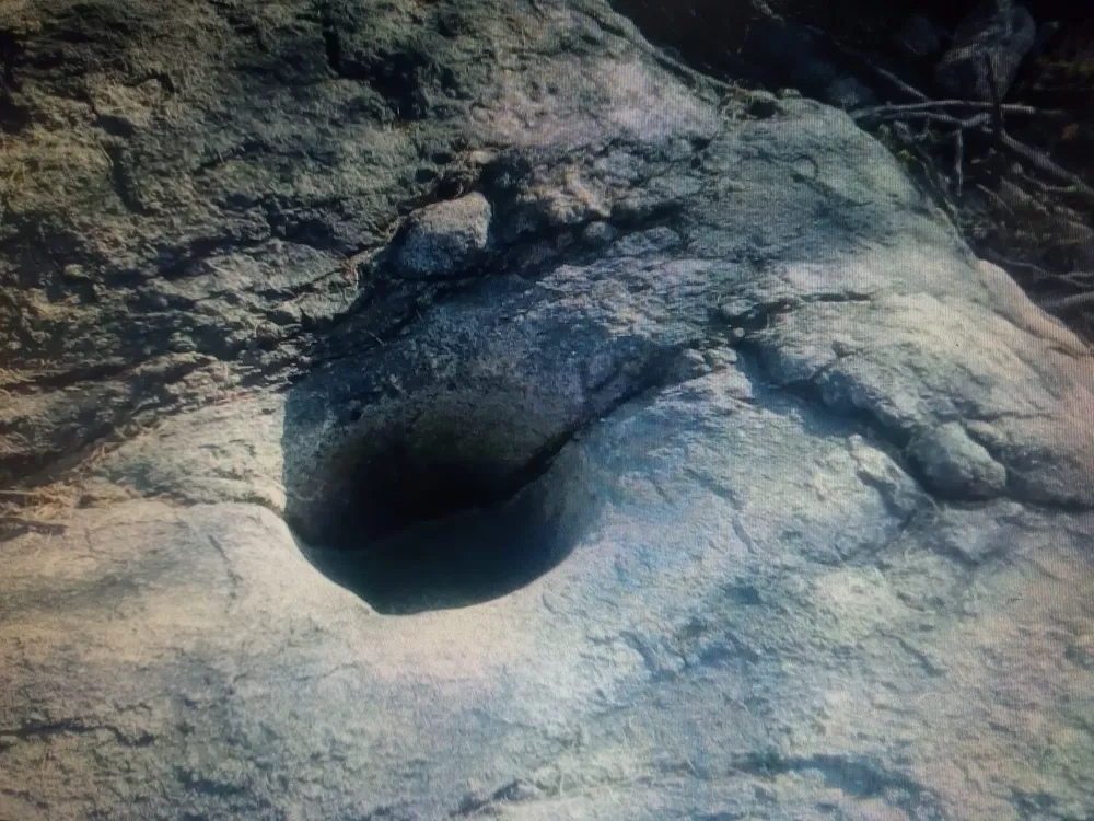 339645017_721916179668751_5954412157356751438_n