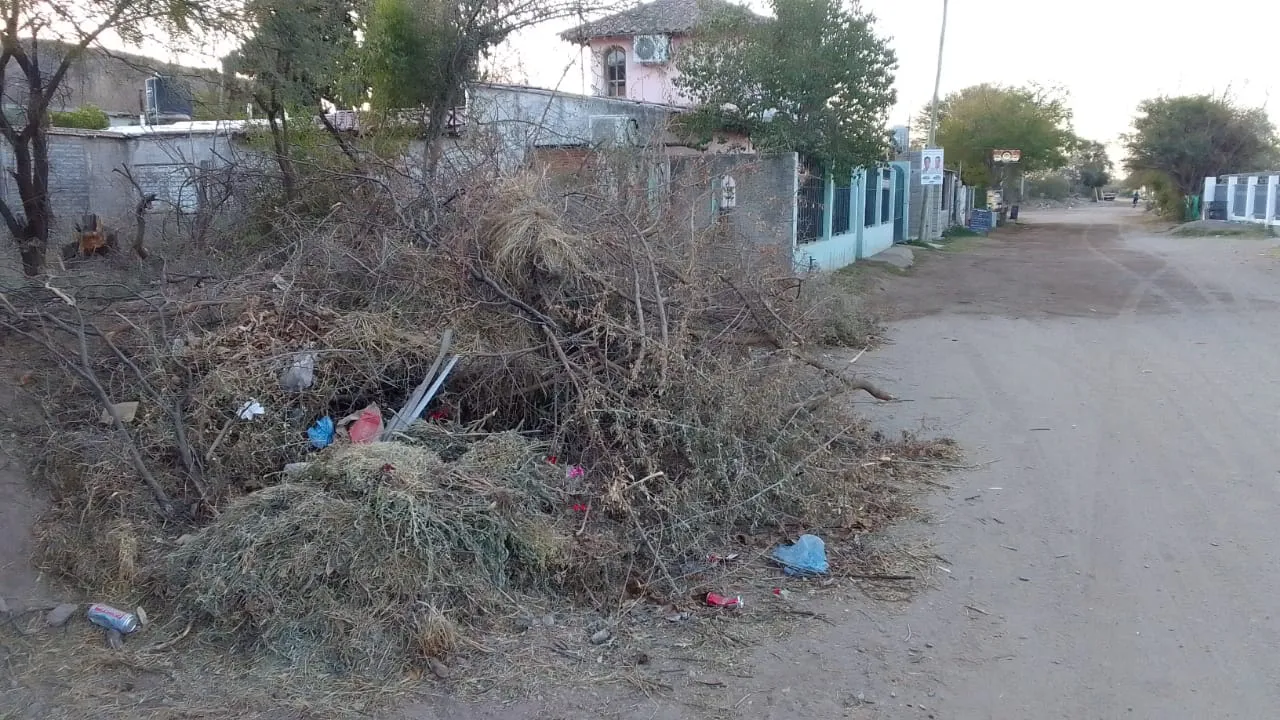 7b09a65f-f194-4a7a-b3a3-e7ae10113bfe