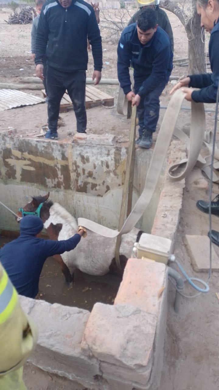 multimedia.normal.8705052191b05e4f.39636639306434312d313837322d343137612d386132372d39323035383838355f6e6f726d616c2e6a7067