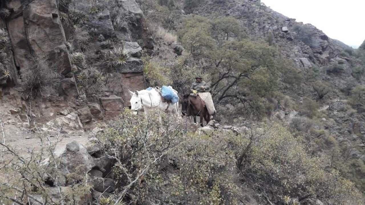 f1280x720-490988_622663_0