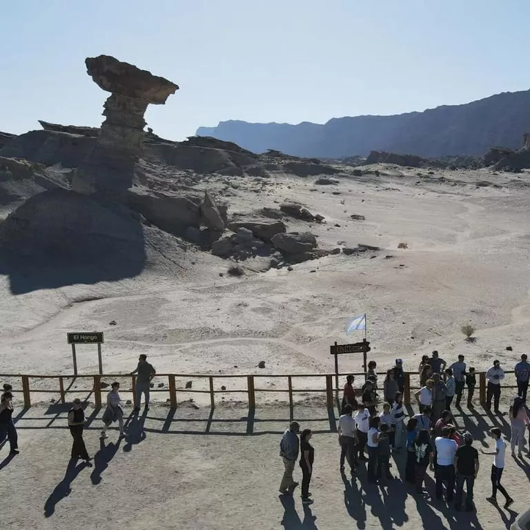 f768x1-329503_329630_4540