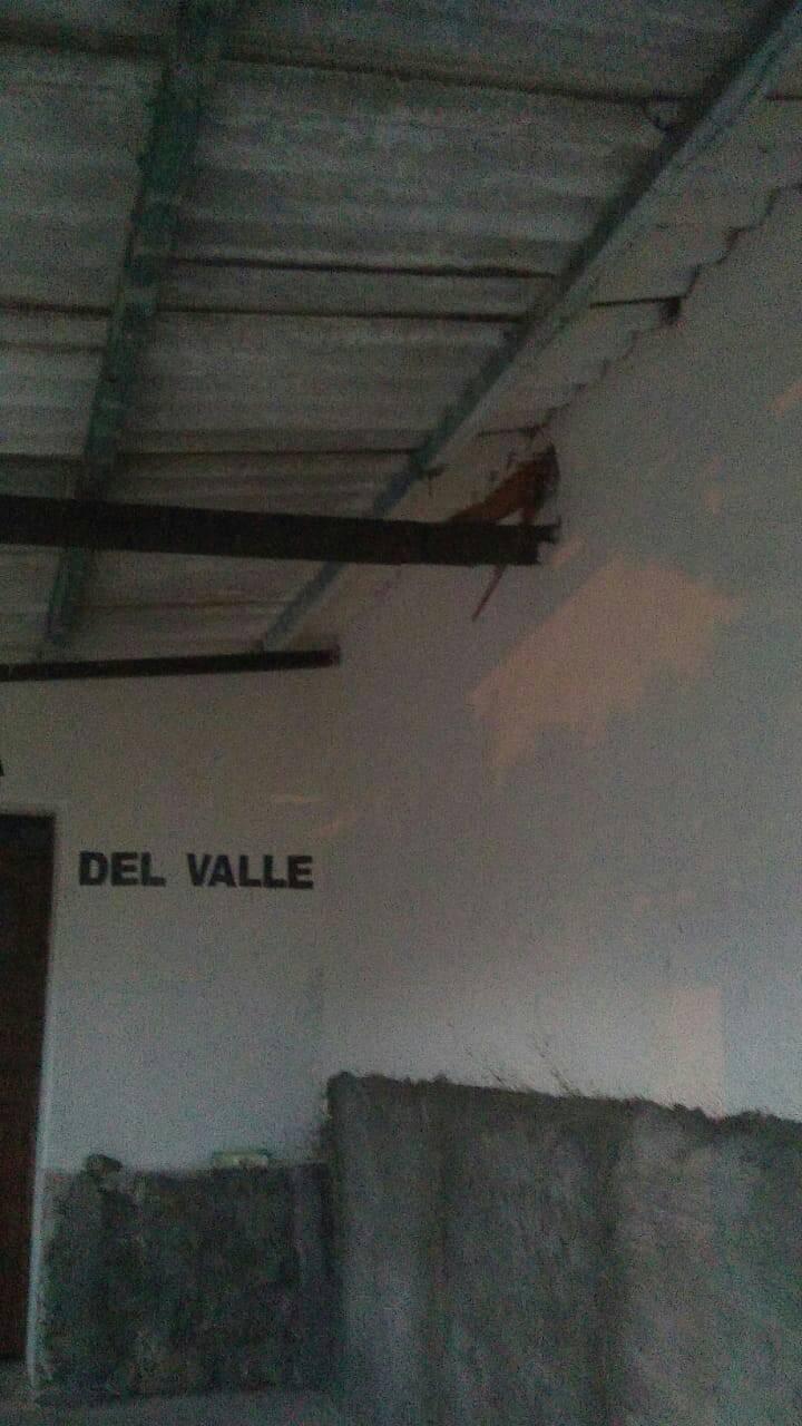 131983241_785553788690729_9179287702046428589_o