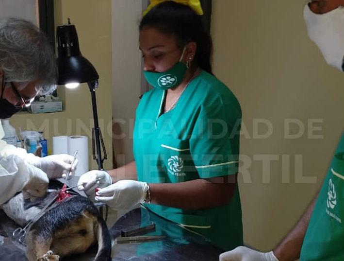 275803791_342965021191794_2223698892084901571_n