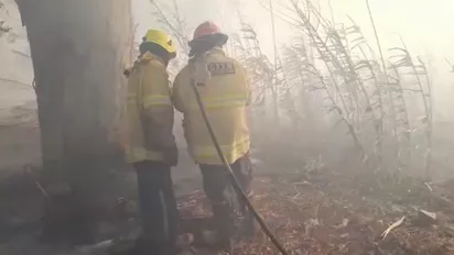 bomberos-voluntario-pocitopng
