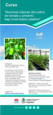 inta-curso_pimiento_y_tomate_2020