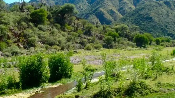 dfce273aa8c02de7edad50d109fe9ac4dc0047fe1649d4c7_560