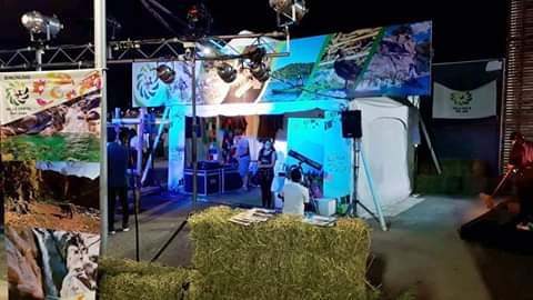 FB_IMG_1582738333387