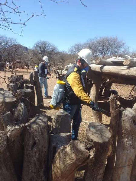 458983616_931987282289562_3295623145552307407_n