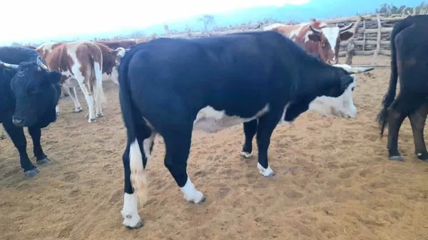 355321537_6970523629641814_3259676789326561681_n