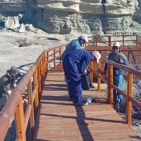 430830398_805826021588585_5398494559618623329_n