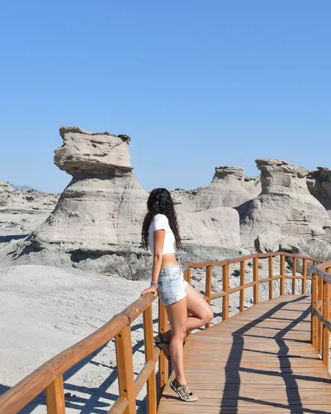 432696664_921236603335123_7278148053943793062_n