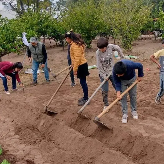 431215352_708512398137451_7184659575850838622_n