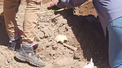 restos-valle-fertil-1jpeg