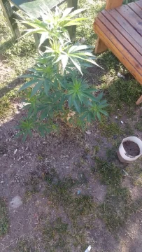 WhatsApp-Image-2024-10-14-at-12.45.04-PM-203x360