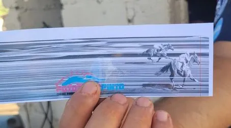 428391205_875761867567602_6066475665452654911_n