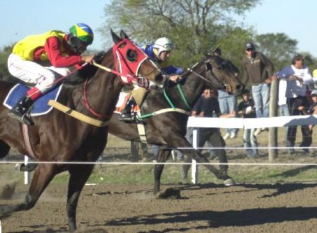 carreras-caballos