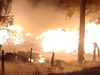 dcc230124-007f06_crop1705968209190_crop1705968278039_crop1711021058996