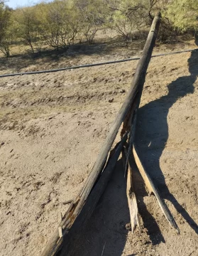 DCC211224-009F07-279x360