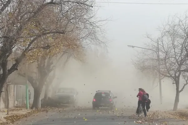 file_118392_main1_800