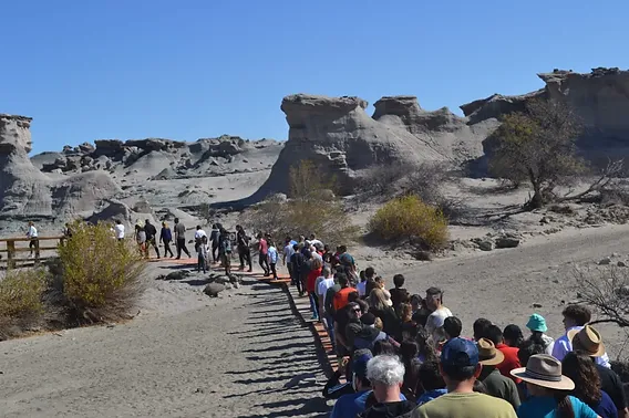 e472da_62869a31fede4ca5a4e3fda6b8d2dc0f~mv2