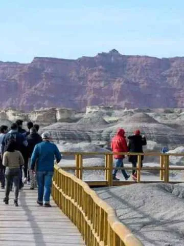 625dcb5ce3569_360_480!