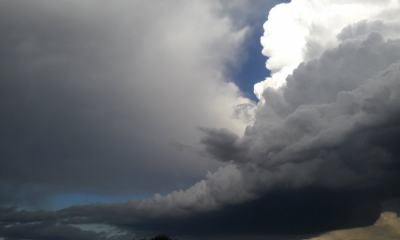 multimedia.miniatura.8d8fda8e875c9862.746f726d656e74612d343030783234305f6d696e6961747572612e706e67