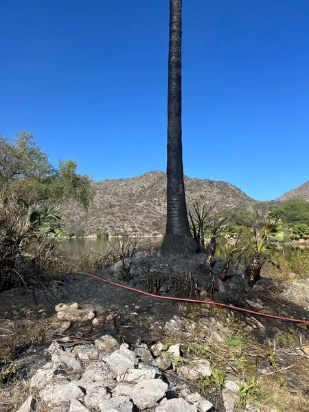 561174784_1239240538230900_1631008466562658518_n