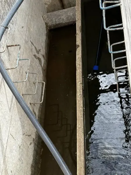 469686270_10233871982770764_8704502906863818047_n