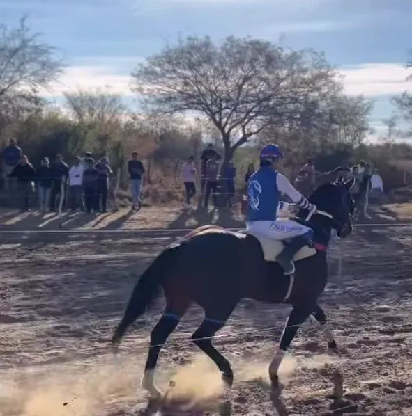 Screenshot_20250810-203506~2