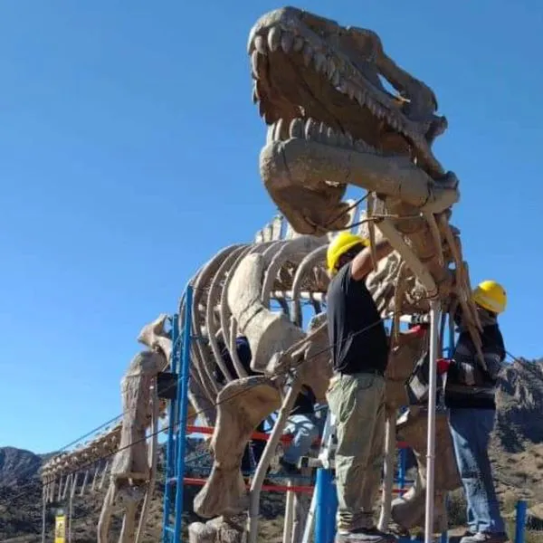 448163171_862842355886951_3325859240294150933_n