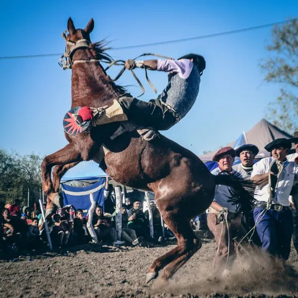 438174806_850612033760421_5636300198788983486_n