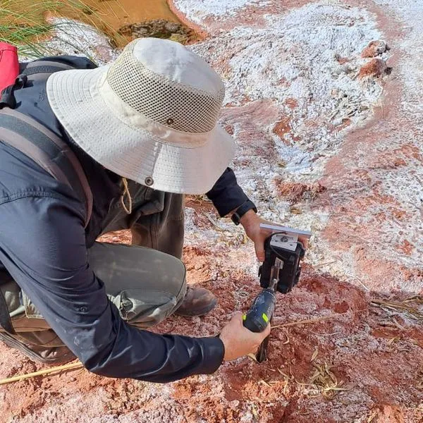 355485117_646827880821734_7883116711155369450_n